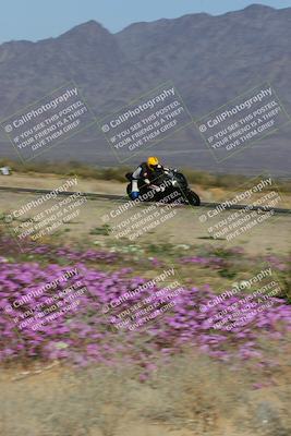 media/Feb-04-2023-SoCal Trackdays (Sat) [[8a776bf2c3]]/Turn 15 Inside Blooming (1050am)/